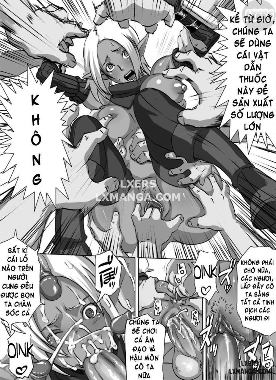XES FANTASIA 