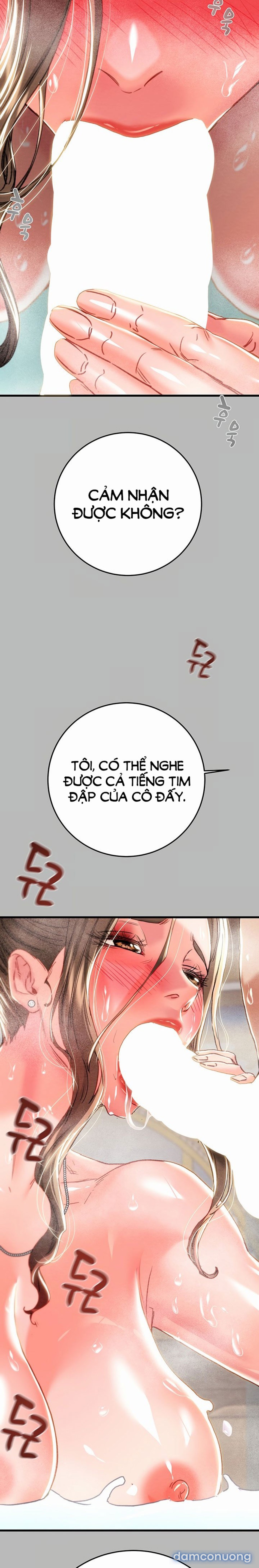 Tước Đoạt Ác Nhân 