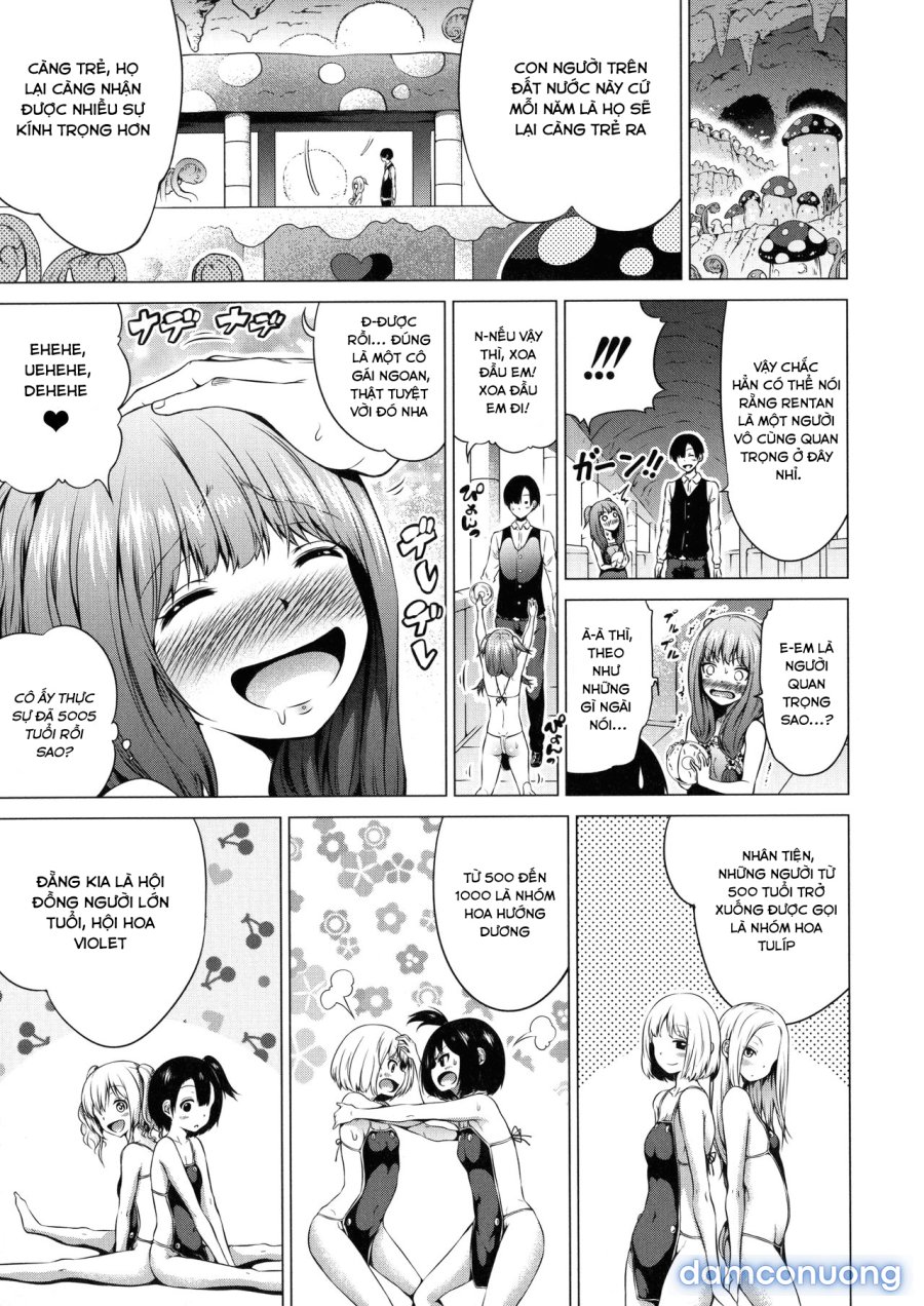 Otherworld Harem Paradise 