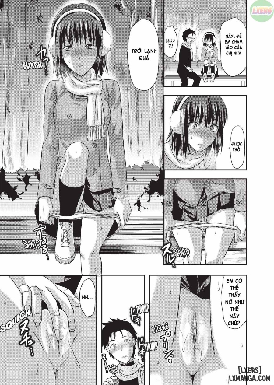 Sweet Sister Selection 