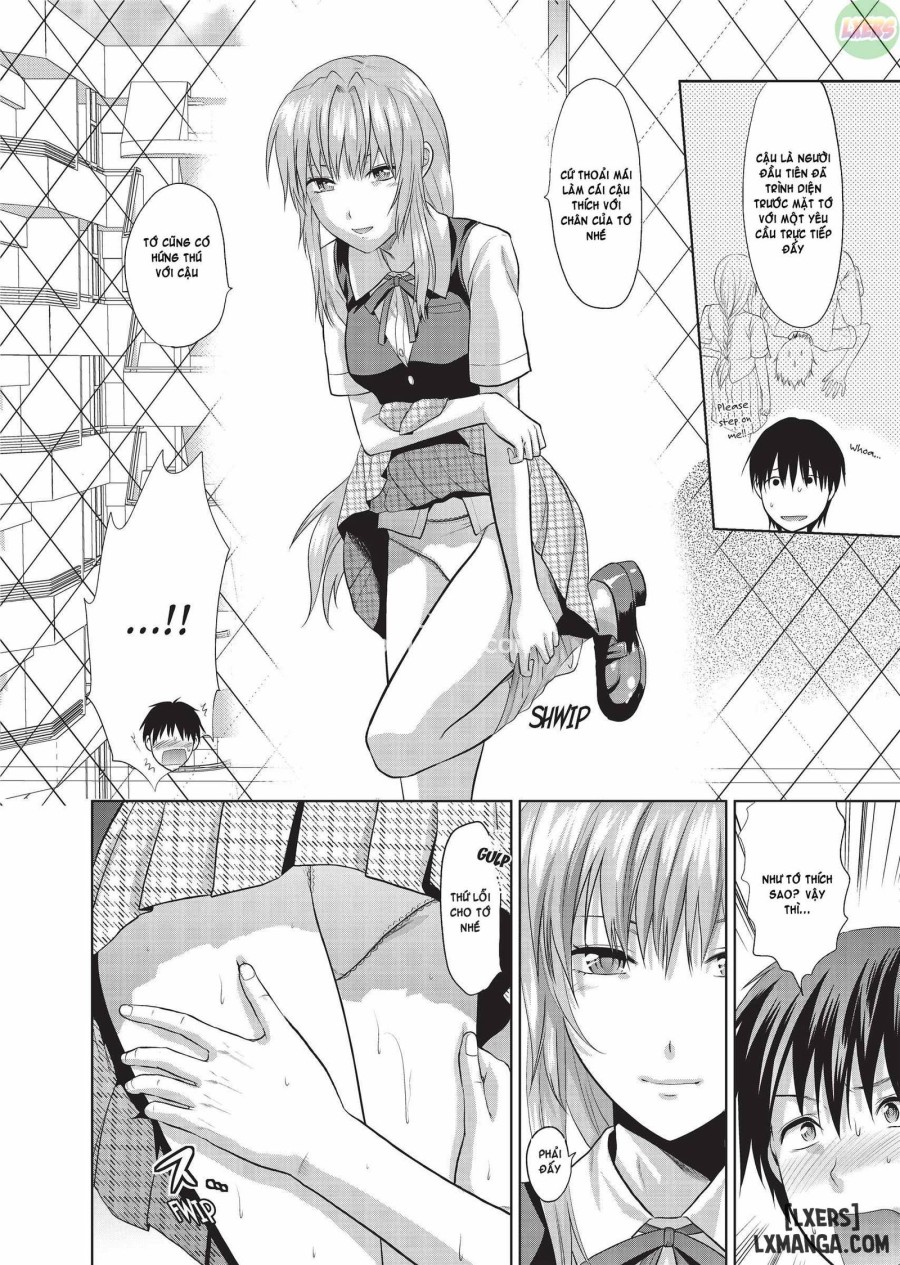 Sweet Sister Selection 