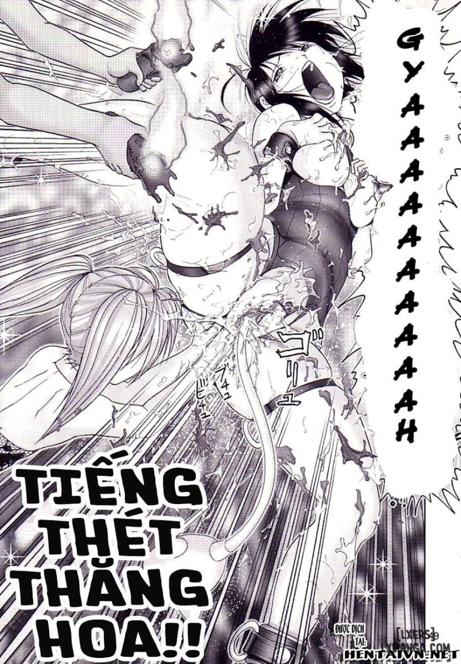 Mazo Shino 
