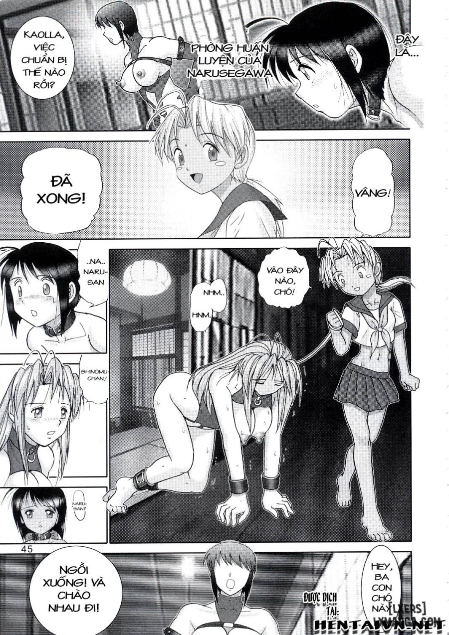 Mazo Shino 