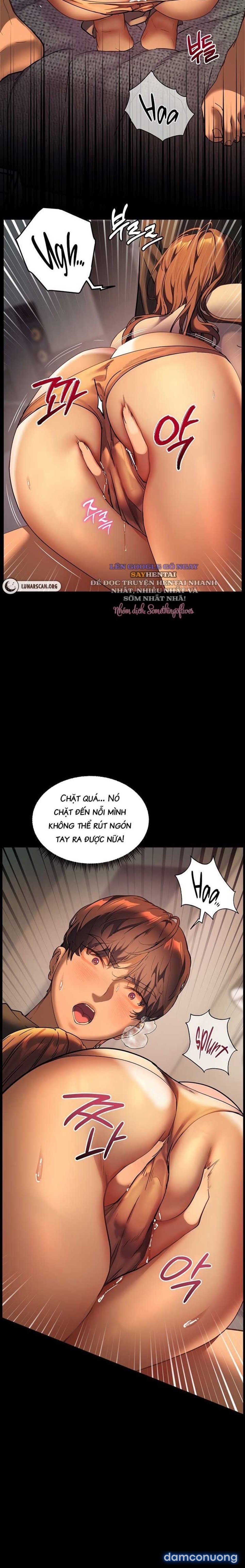 Phi Vụ Triệu Đô: Gia Sư 