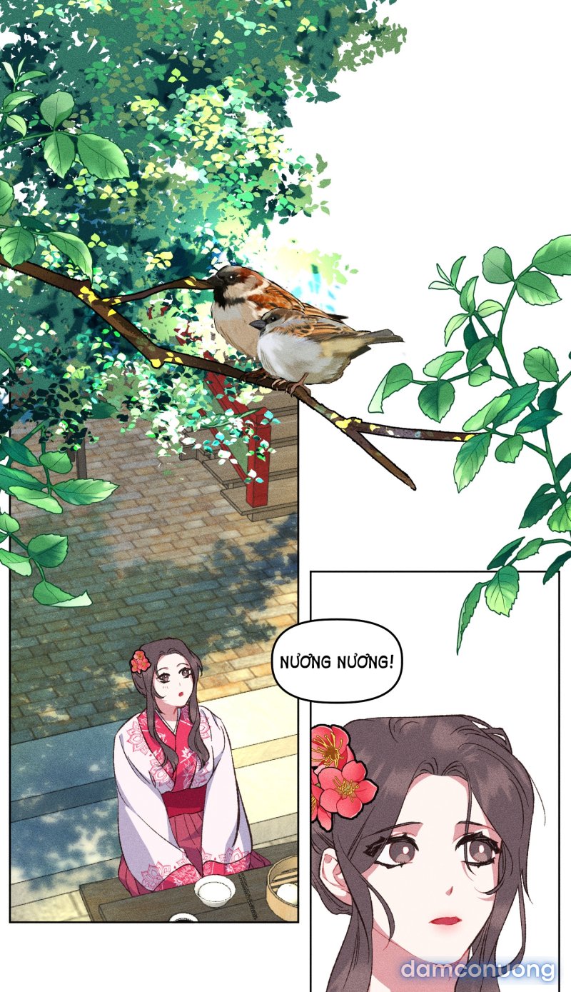 [18+] LÃNH CUNG NƯƠNG NƯƠNG 