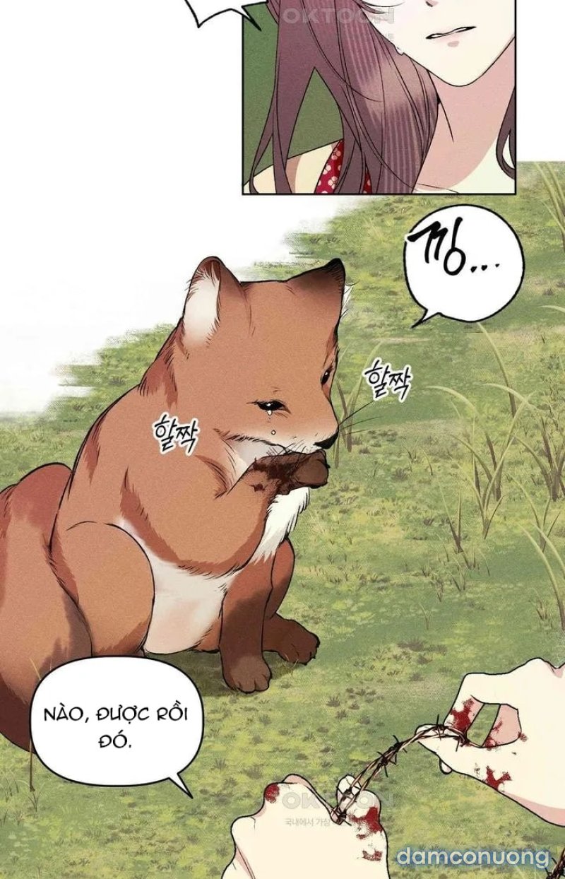 [18+] LÃNH CUNG NƯƠNG NƯƠNG 