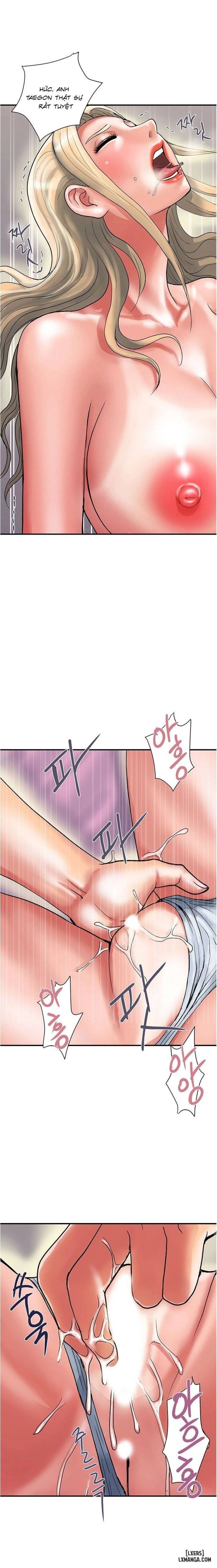 Chất dẫn dục. 