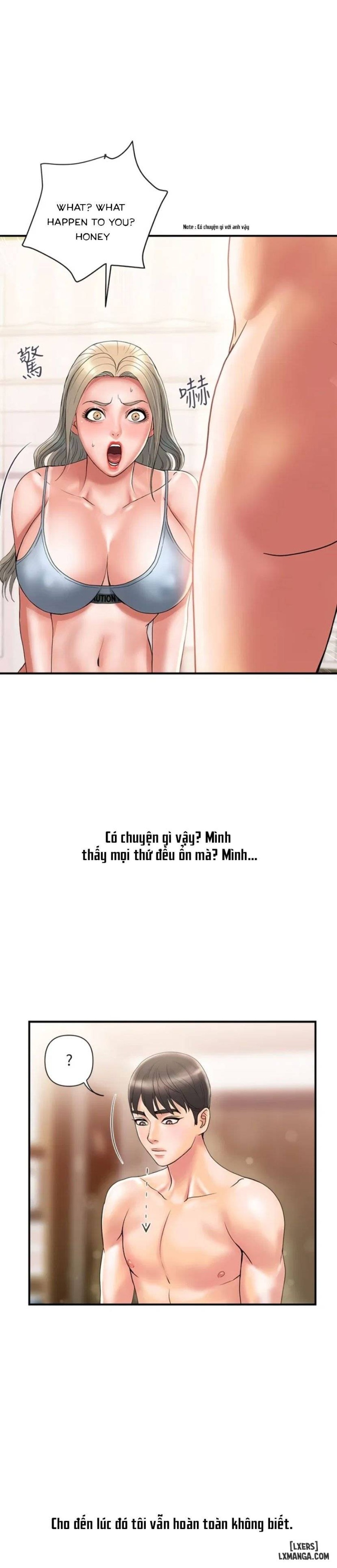 Chất dẫn dục. 
