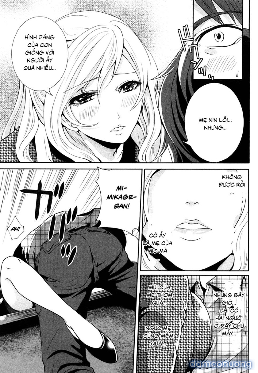 Shimoeda-san Chi no Akarui Shokutaku 