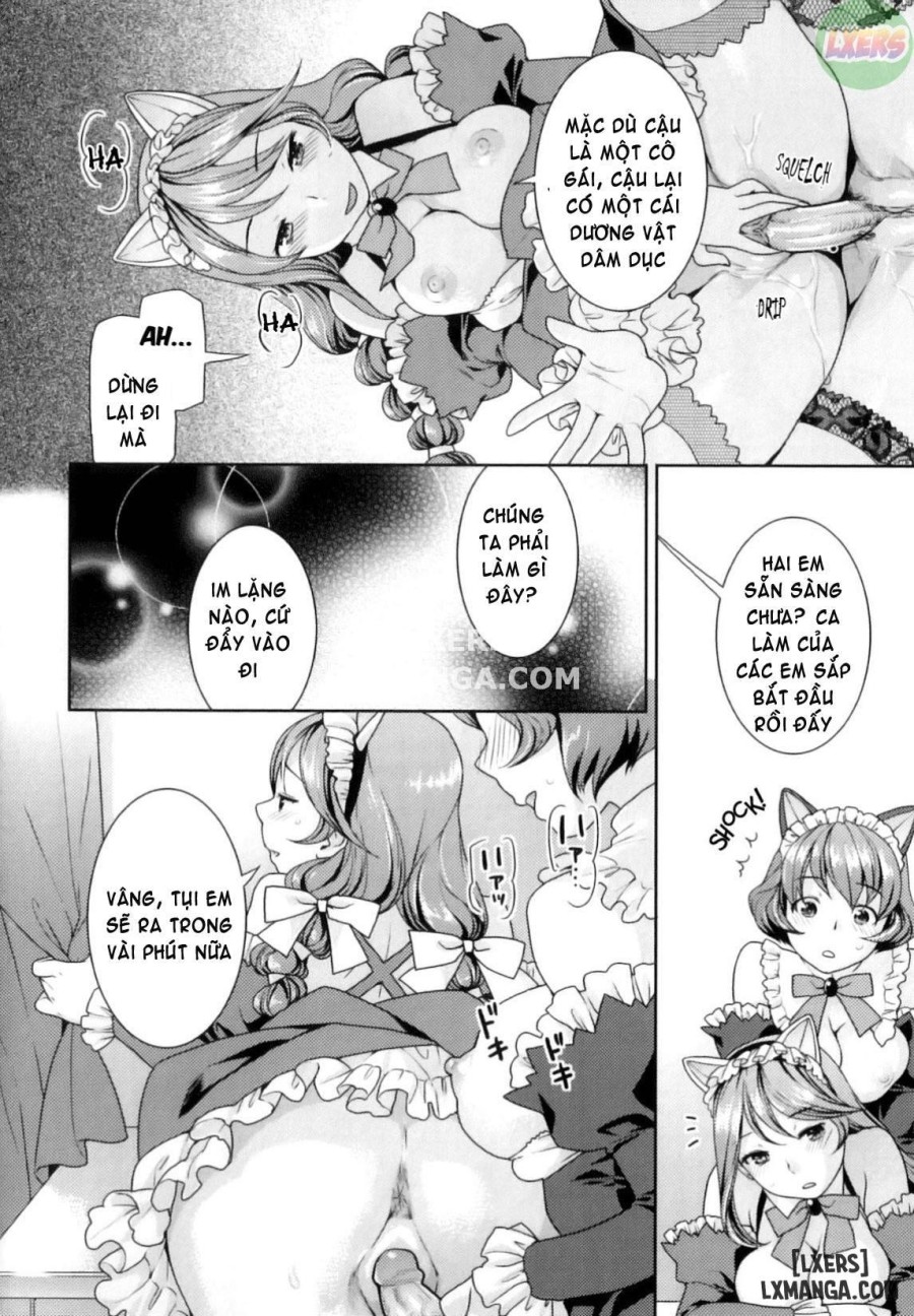 Futanari Relations 