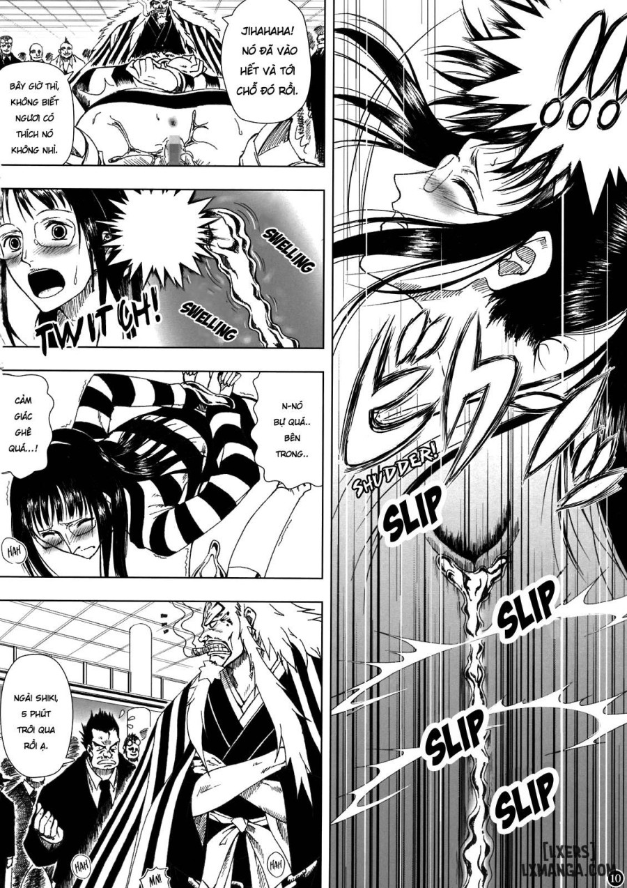 The Use Of Devil Fruits 