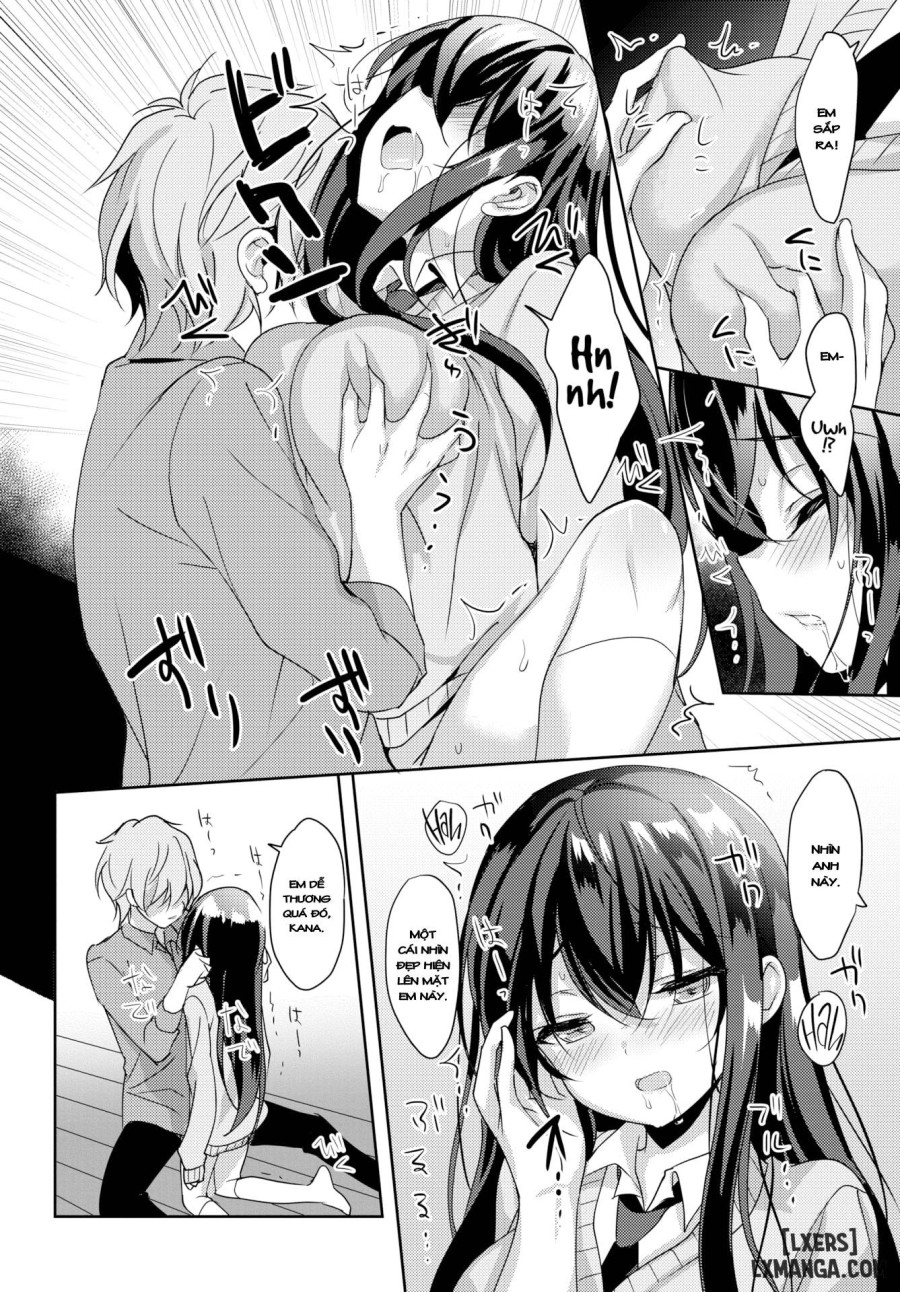Sakura Drops 