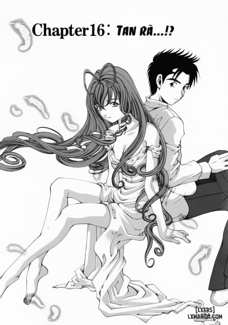 Virgin na Kankei 