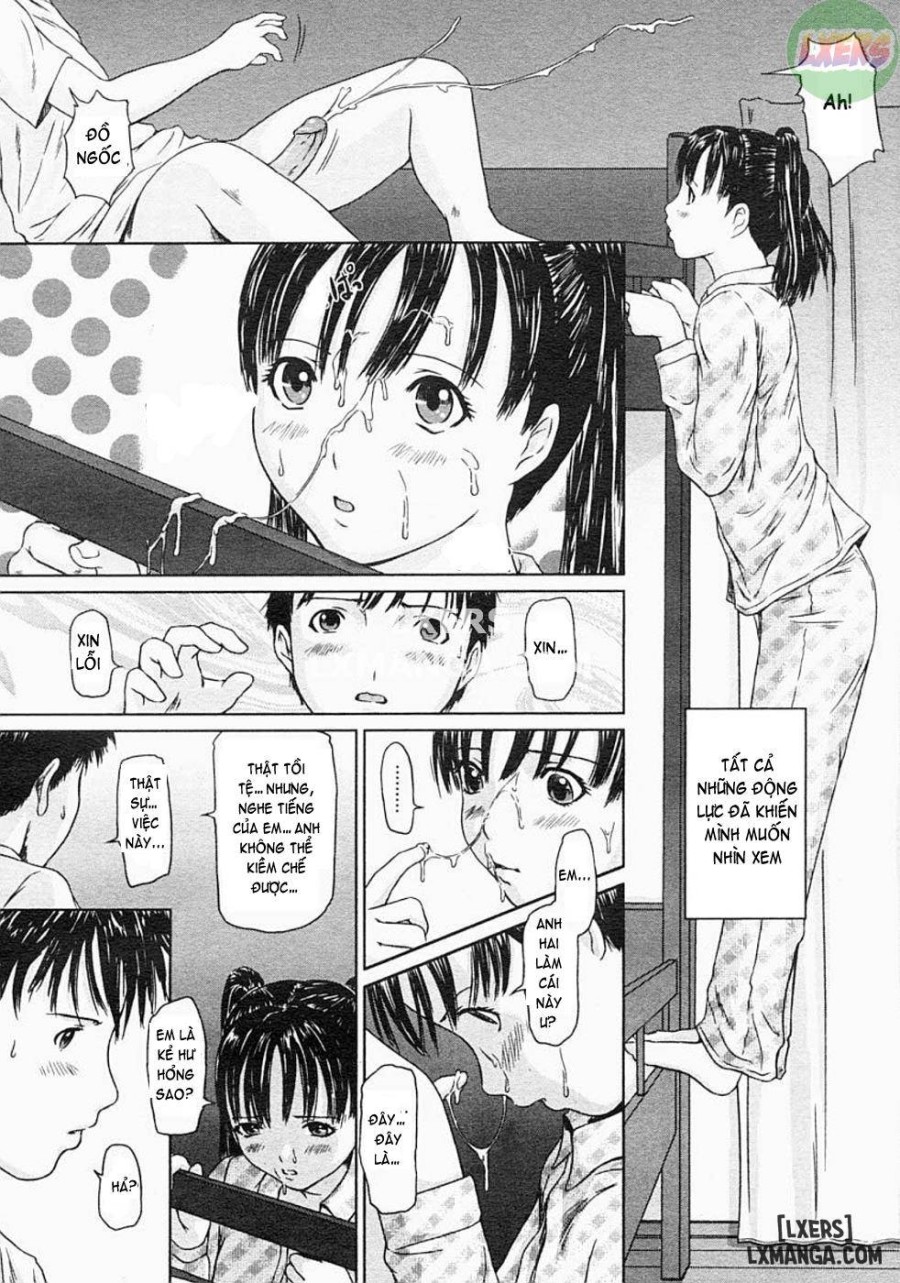 Love Selection 