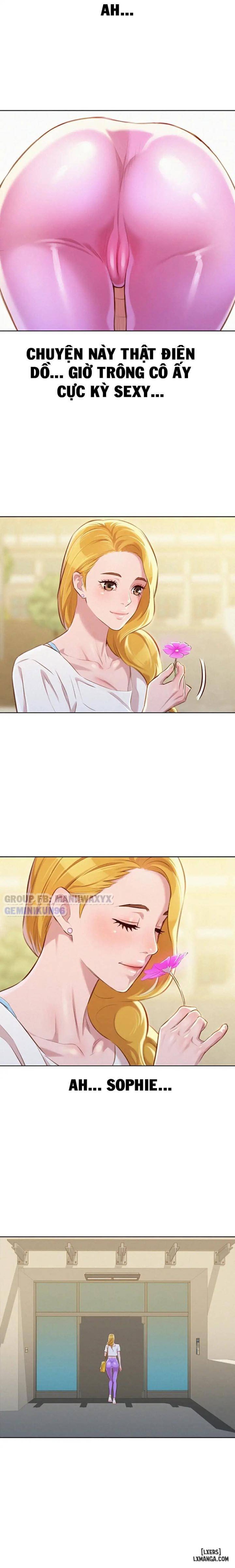 Chị (Noona) 