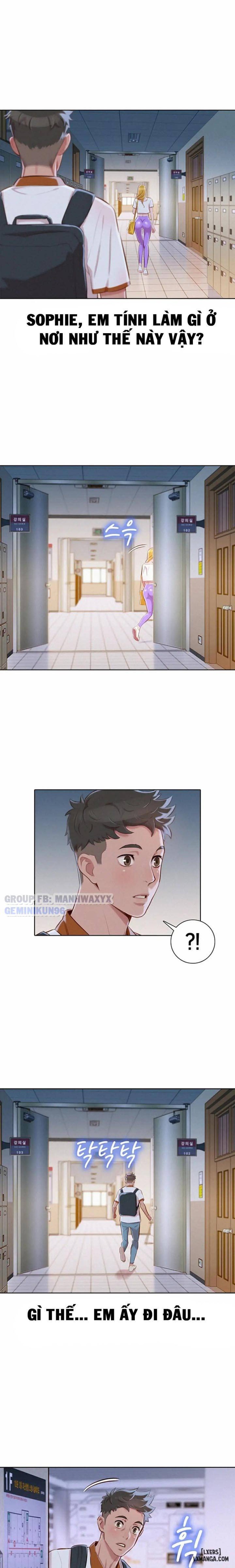 Chị (Noona) 