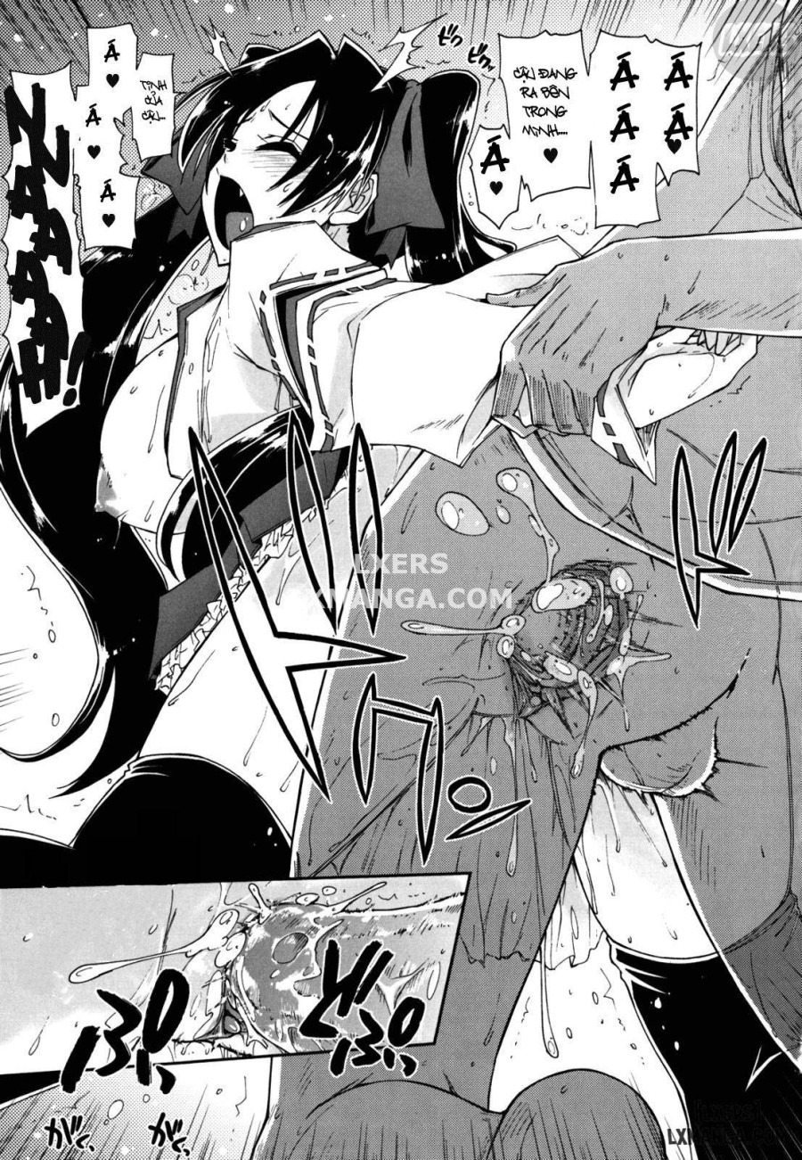 Mosaic x Sanshimai 