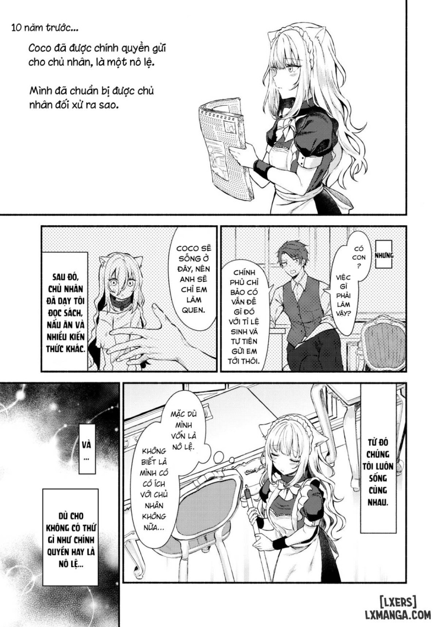 Moto Dorei no Nekomimi Maid 