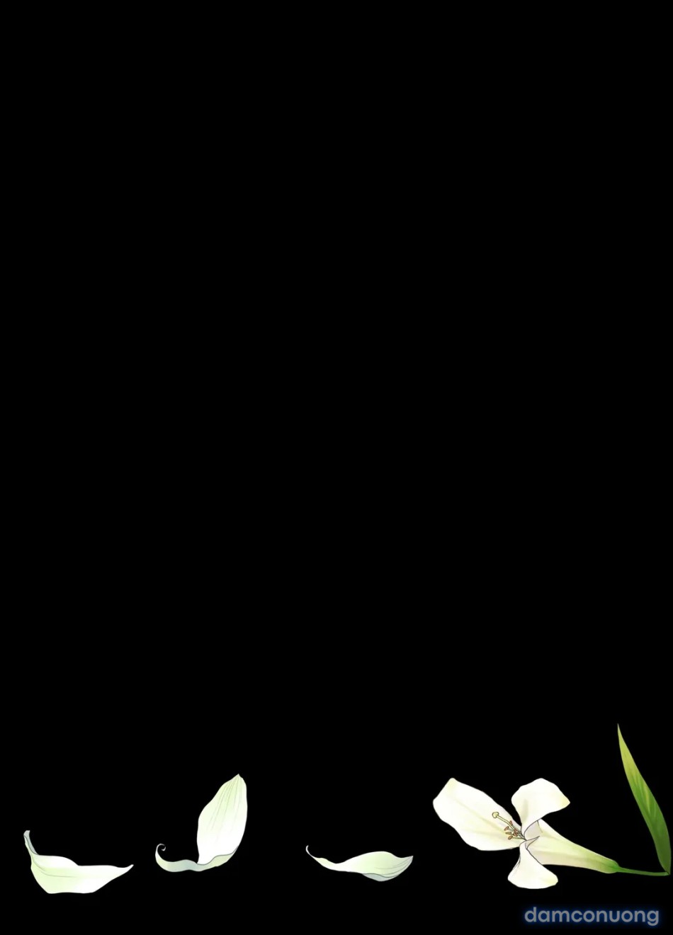 Fragrant Flower until It Falls 