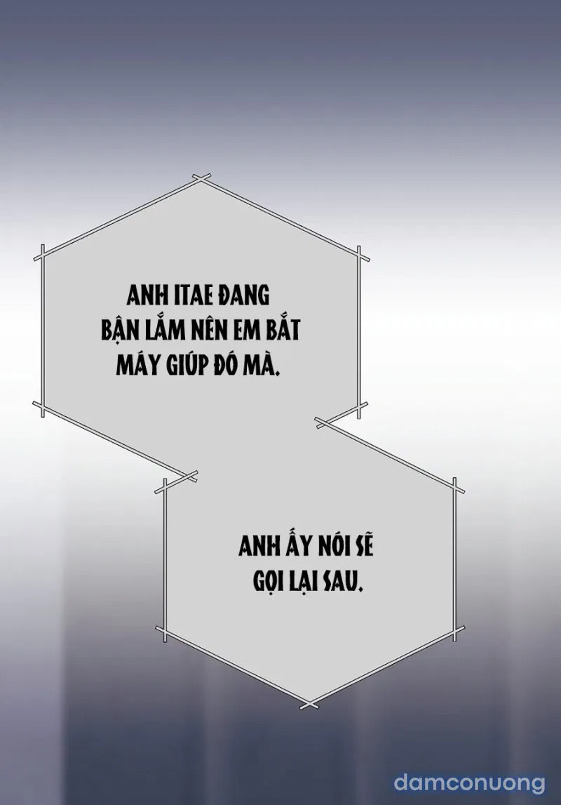 Hôn Nhân Hào Nhoáng 