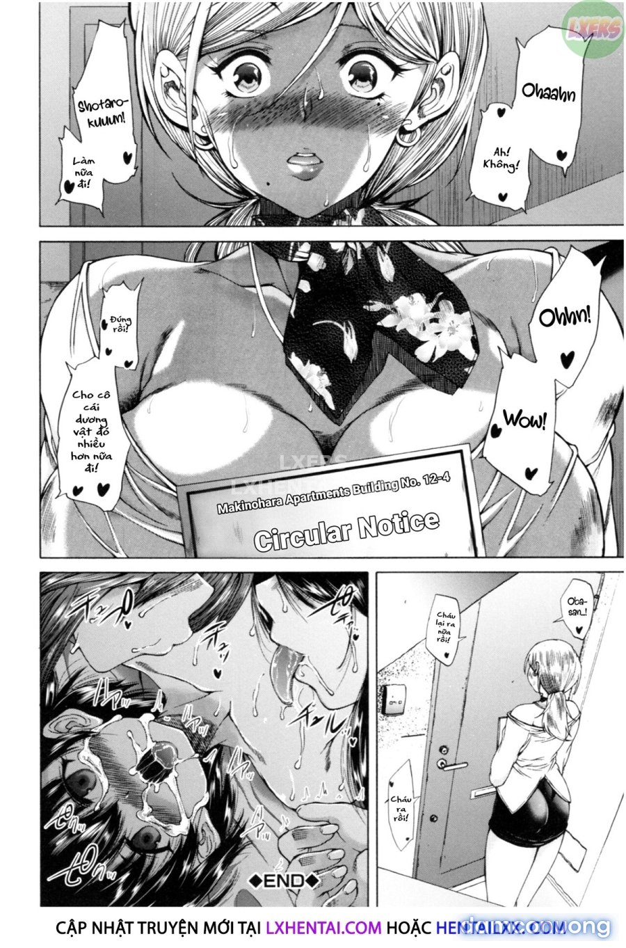 Oba-Shota Harem 