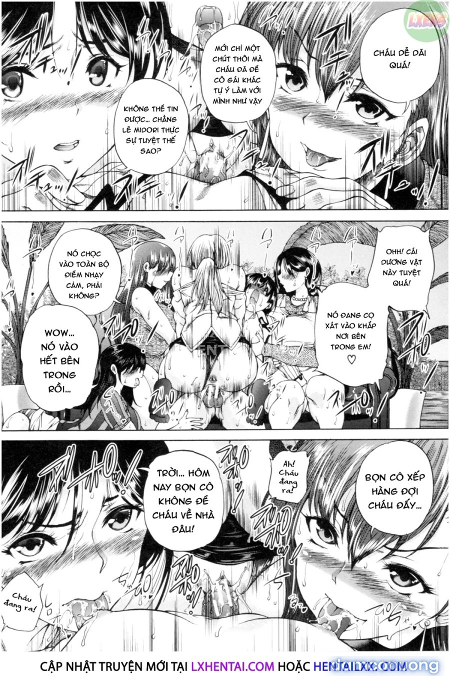 Oba-Shota Harem 