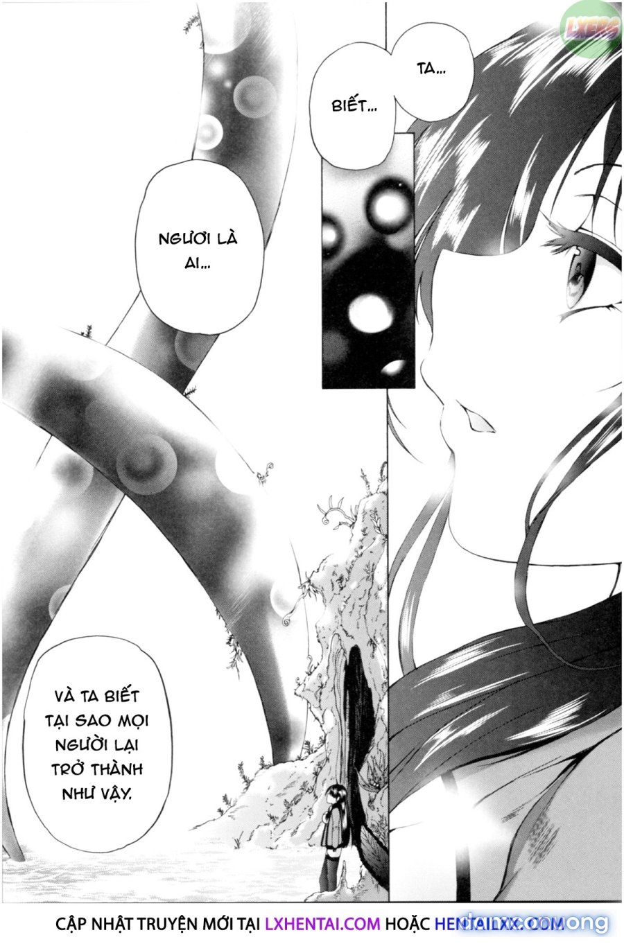 Oba-Shota Harem 