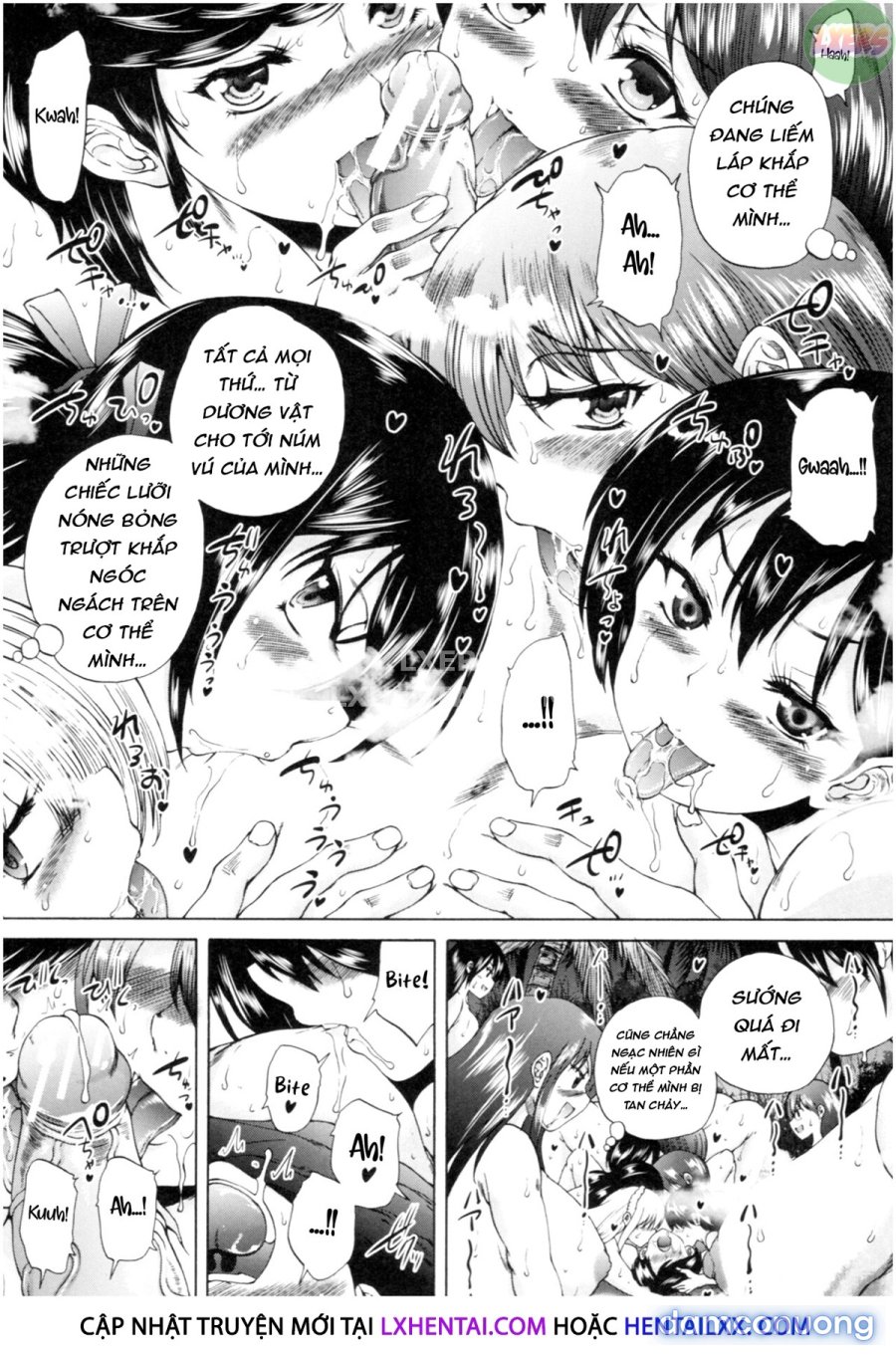 Oba-Shota Harem 