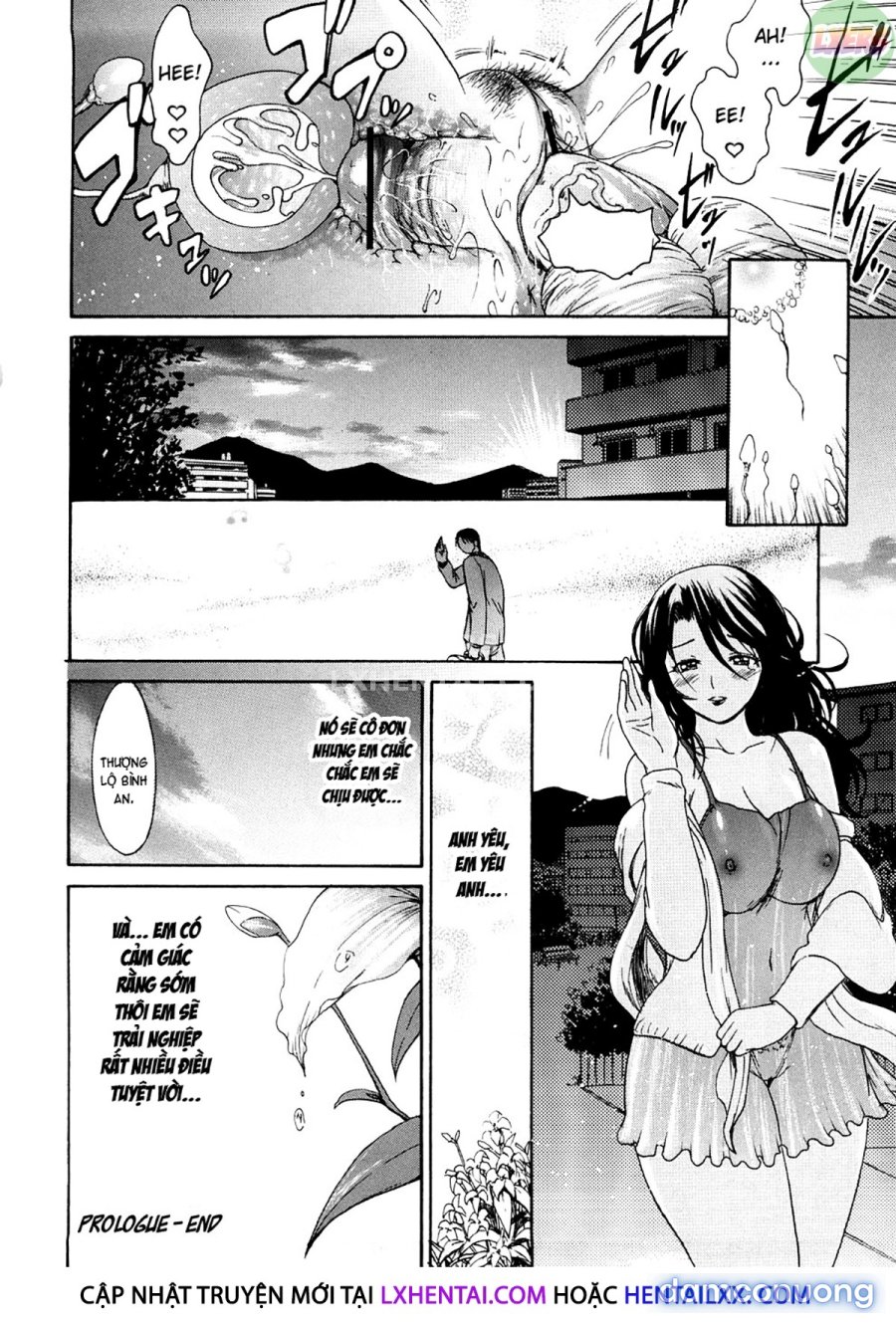 Young Wife Liberation Zone 