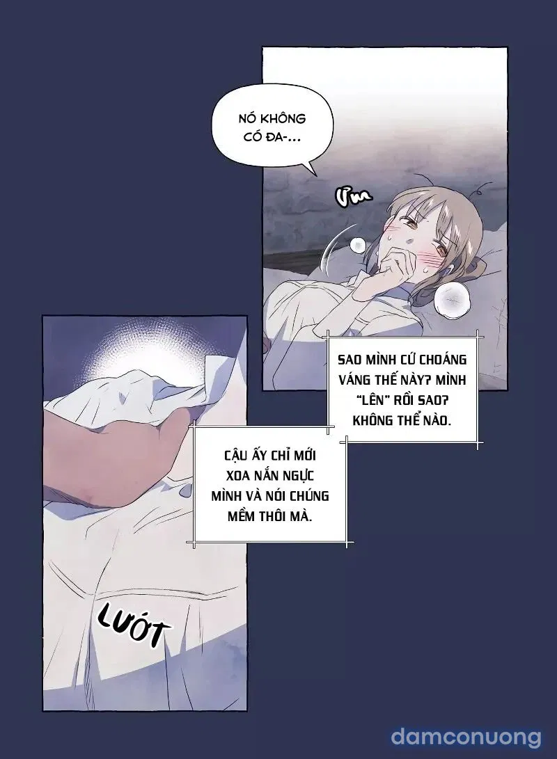 Chàng Khờ Và Tiểu Thư 