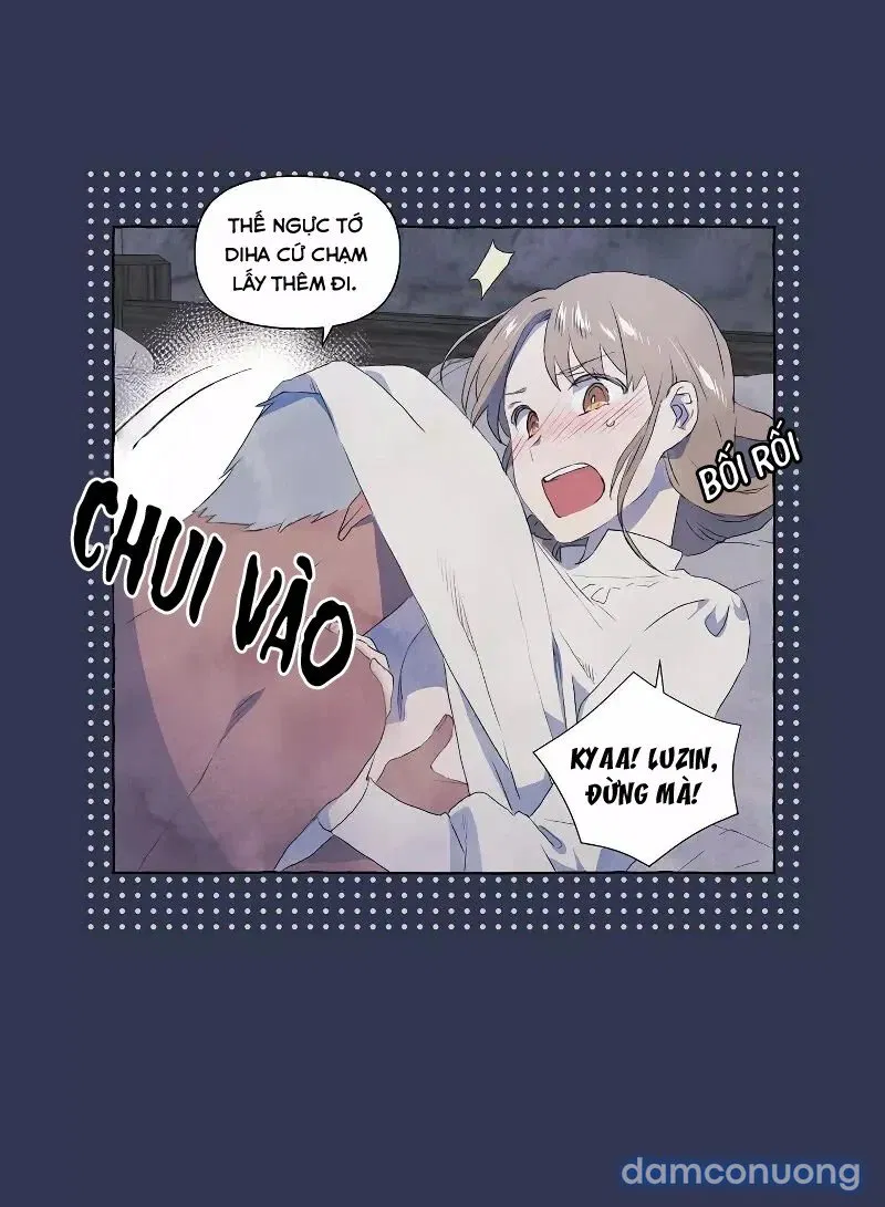 Chàng Khờ Và Tiểu Thư 
