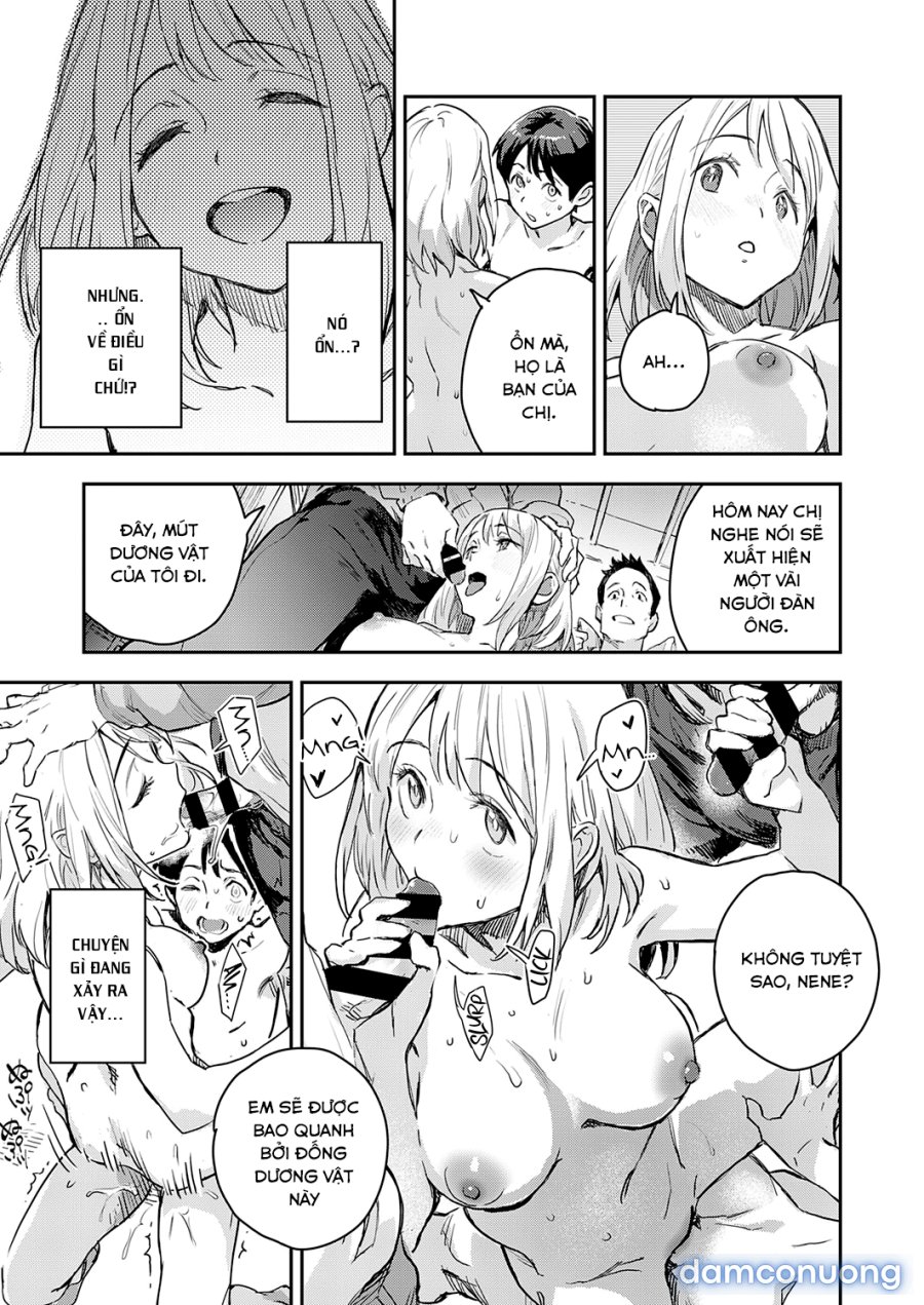 COMIC ExE 34 