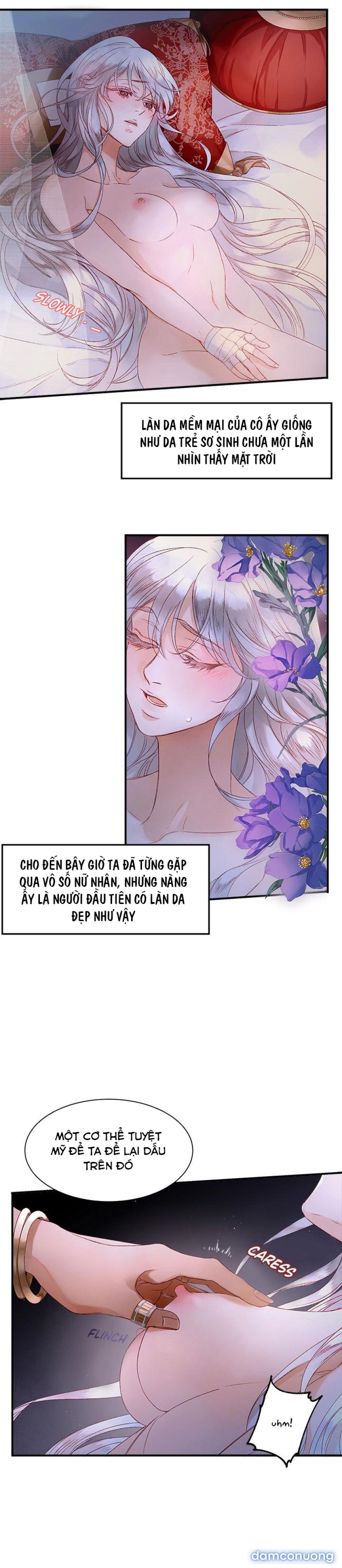 Đóa Hoa Sultan 