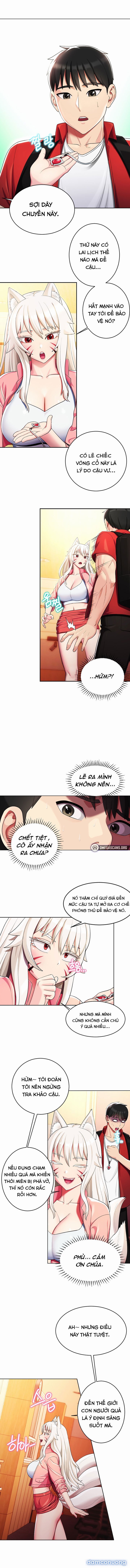 Yêu Thuật : Dàn Harem Yokai 