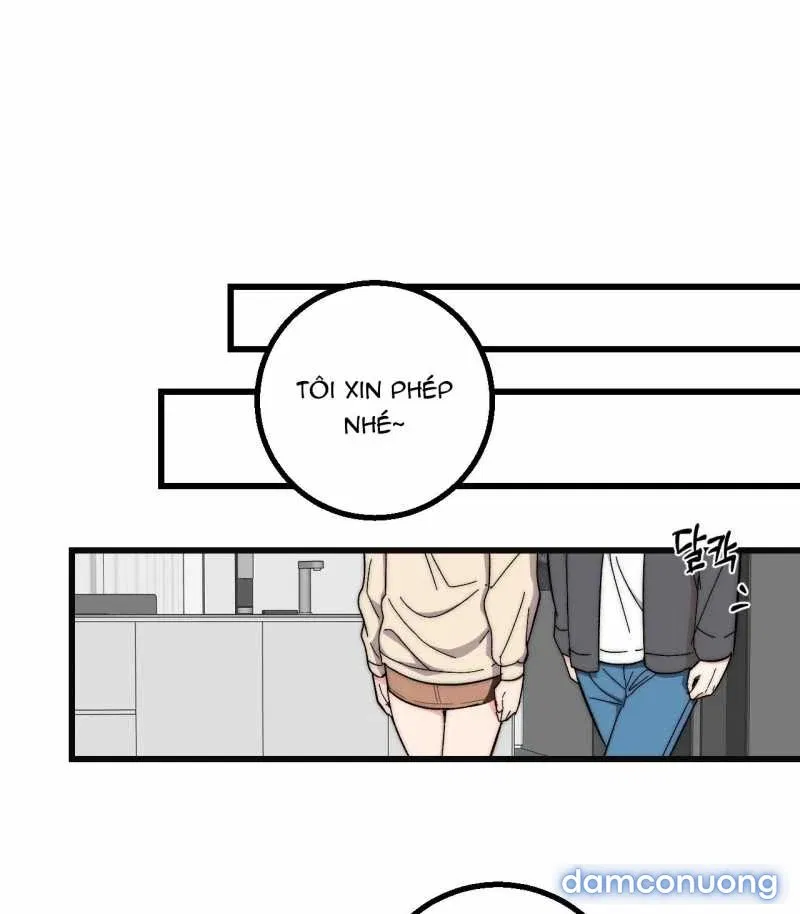 [18+] Sự Ngọt Ngào Đẫm Máu 