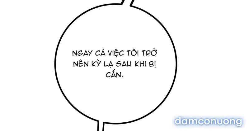 [18+] Sự Ngọt Ngào Đẫm Máu 