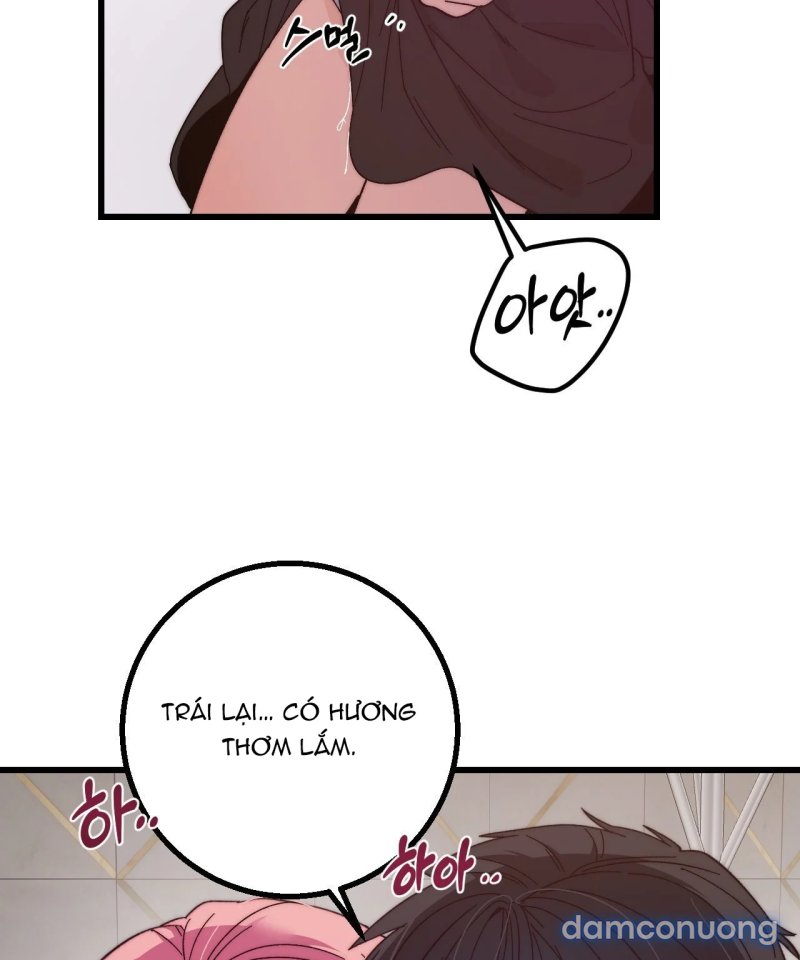 [18+] Sự Ngọt Ngào Đẫm Máu 