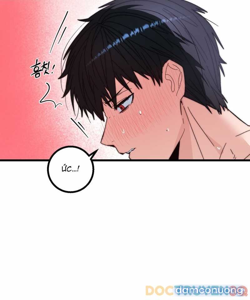 [18+] Sự Ngọt Ngào Đẫm Máu 