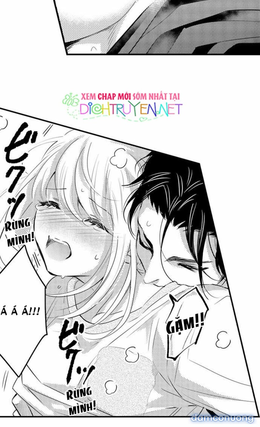 Trêu Ghẹo Gấu Nhà Tôi! 