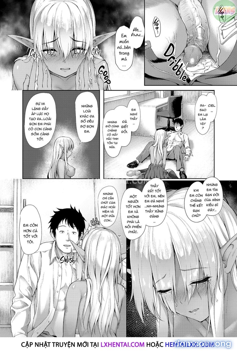 Interspecies Love 101 