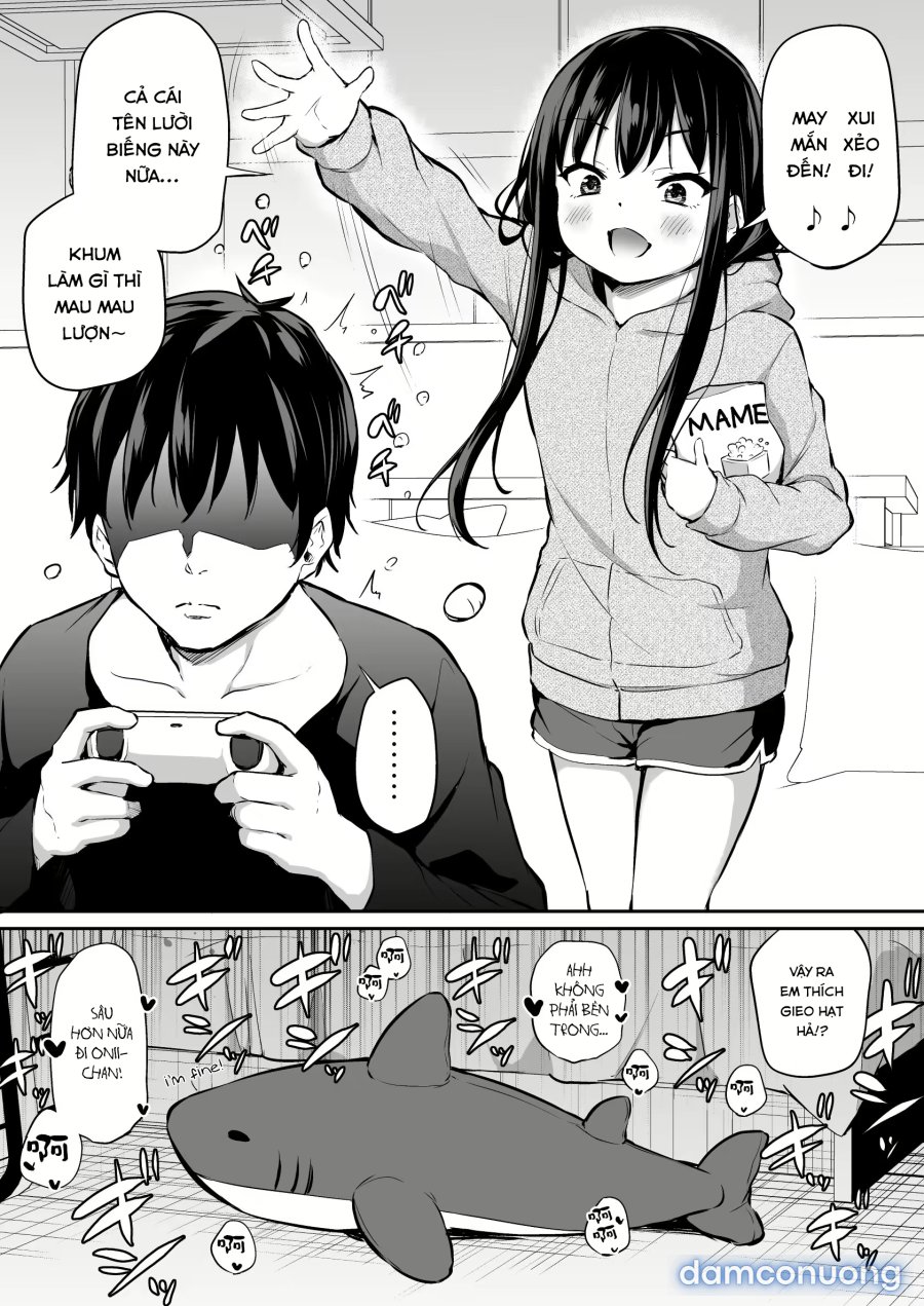 Cuộc sống thường ngày với cô em gái Tsundere 