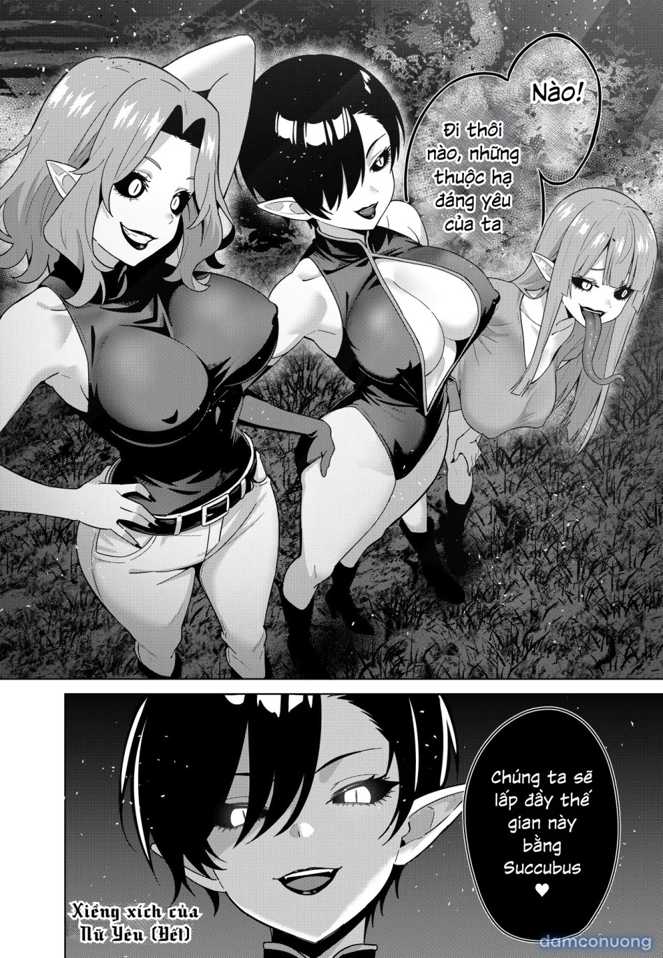 Xiềng Xích Của Nữ Yêu (Succubus) 