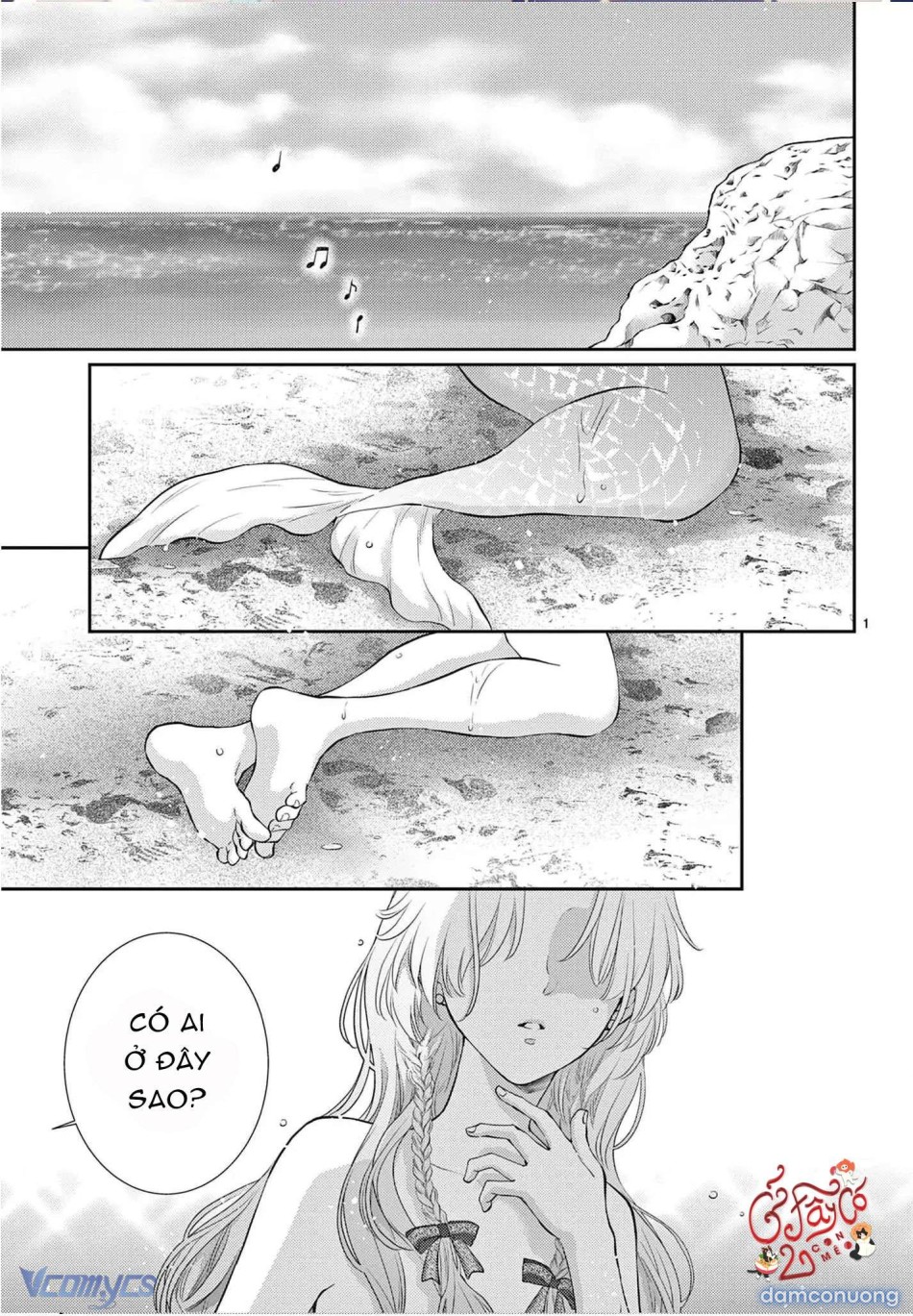 Tuyển Tập Oneshot Dằm Khăm Nhà Méo 