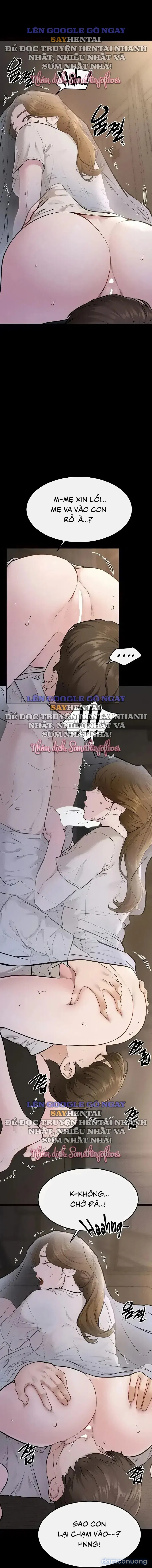 Gia Đình Mới Của Tôi 