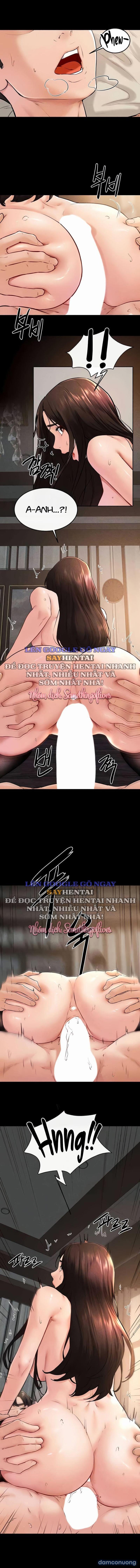 Gia Đình Mới Của Tôi 
