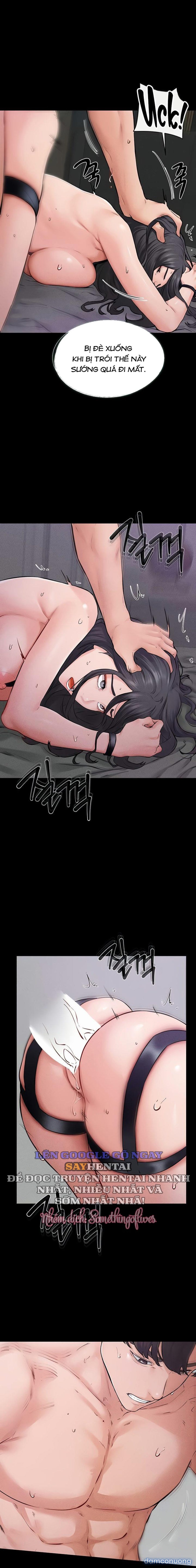 Gia Đình Mới Của Tôi 