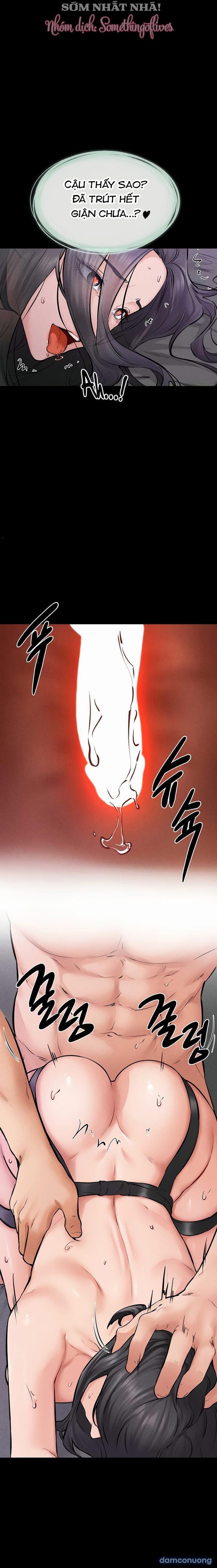 Gia Đình Mới Của Tôi 