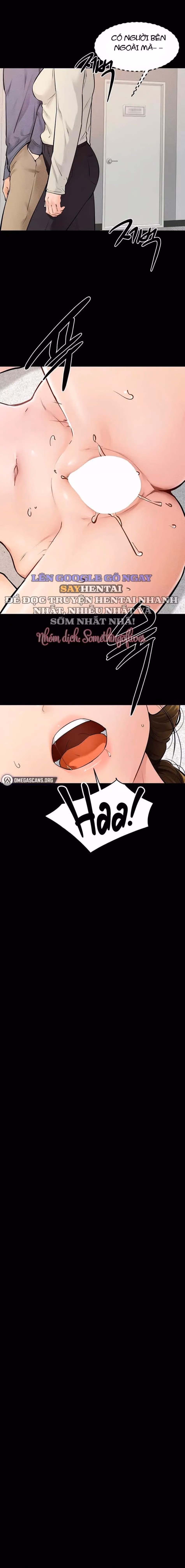 Gia Đình Mới Của Tôi 