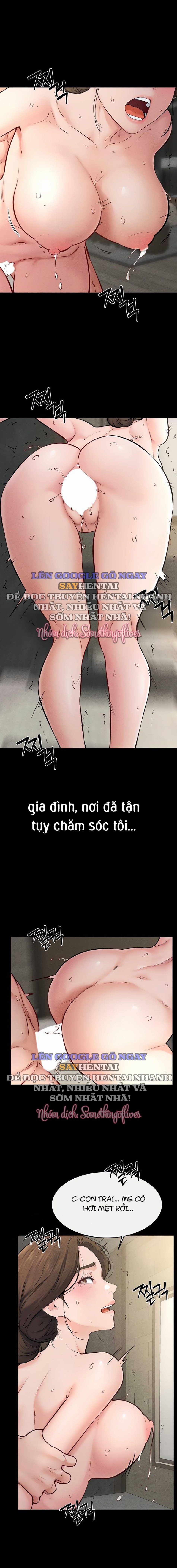 Gia Đình Mới Của Tôi 