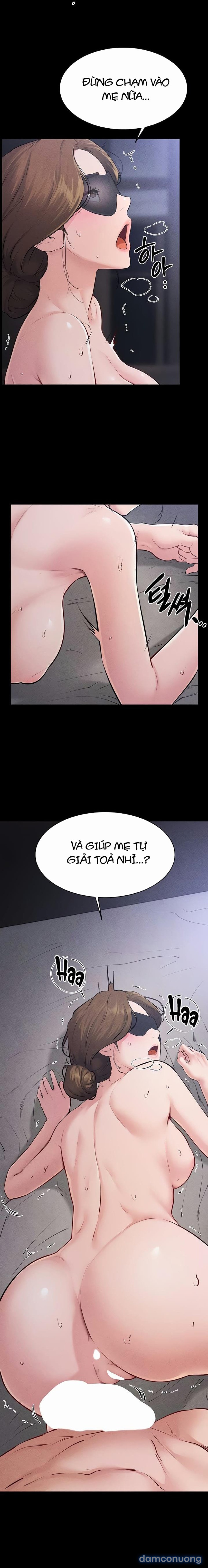 Gia Đình Mới Của Tôi 